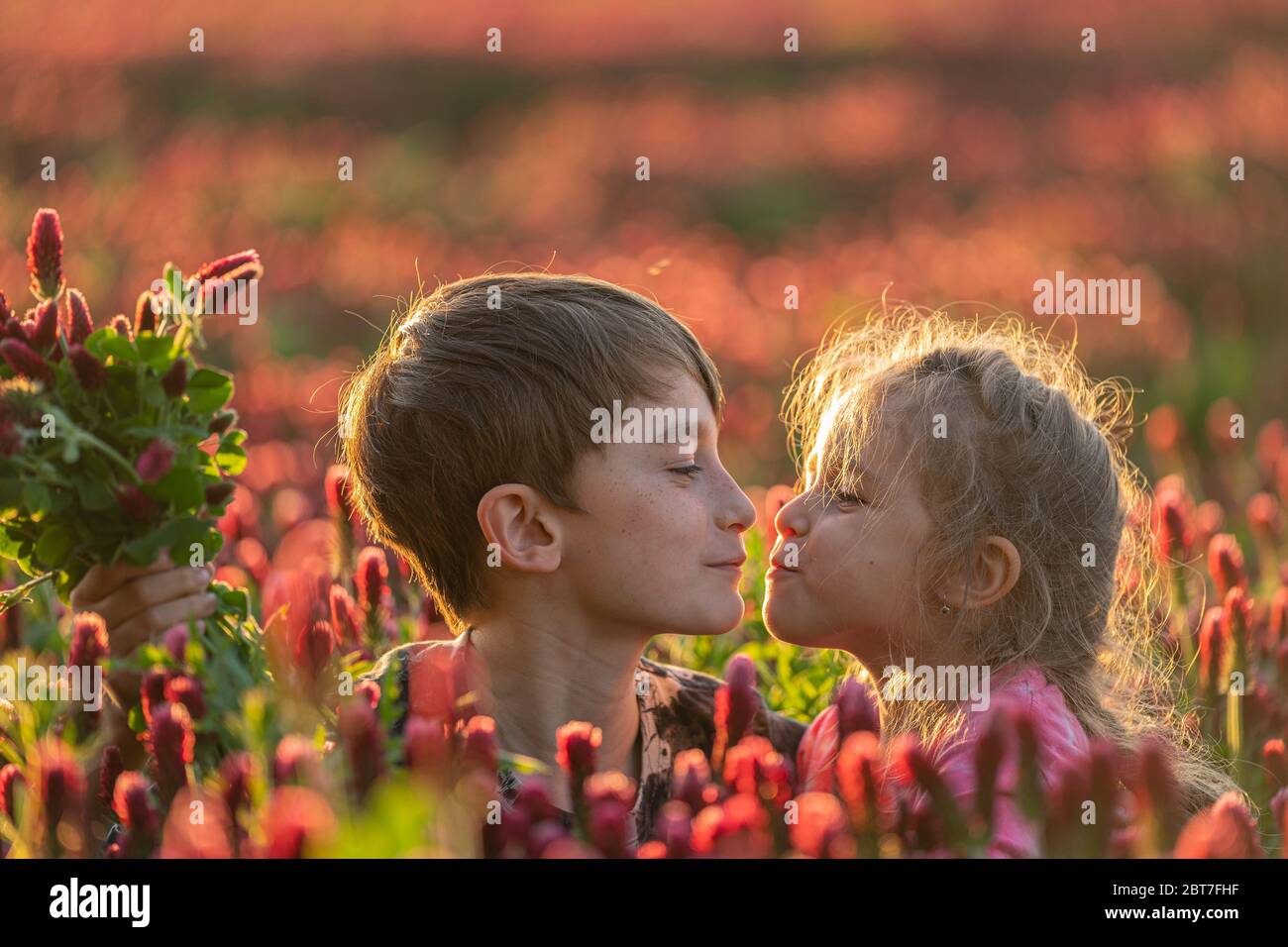 Small boy and girl kissing them self in the clover field. Cute love. Adorable scene. Stock Photo