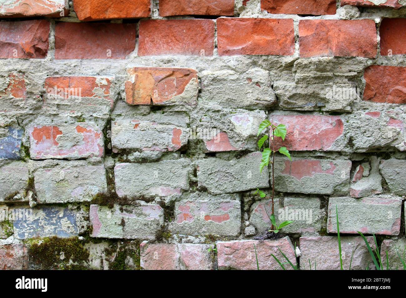 Old cracked brick wall with cracks and hollows. Grunge stylish background with grungy texture. Stock photo for web and print with empty space for text and design Stock Photo