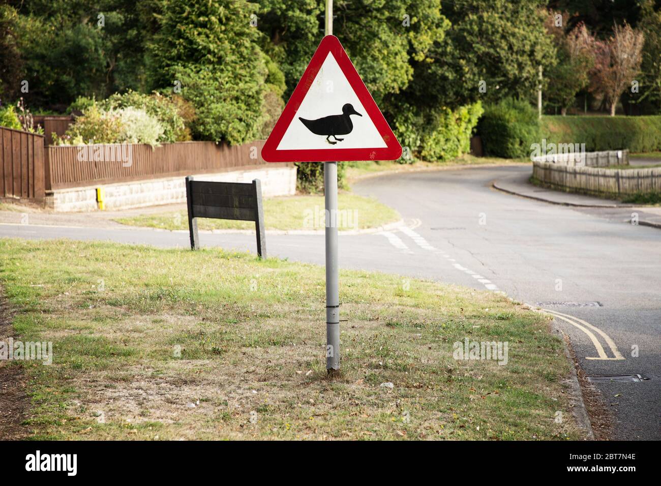 road sign on a street road of a duck cross point coming up Stock Photo