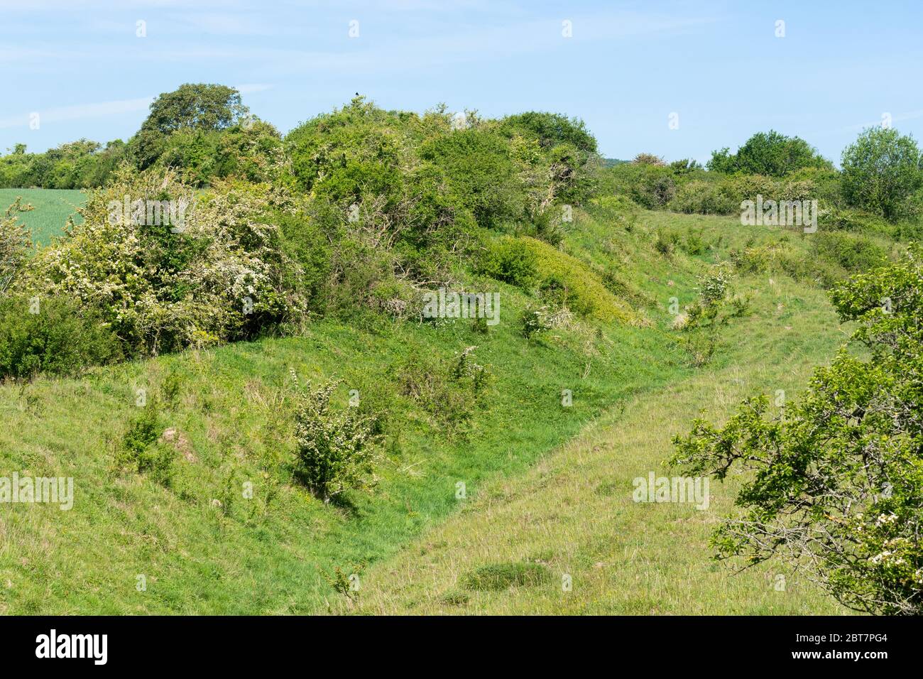 Martin Down National Nature Reserve, chalk downland landscape in Hampshire, England, UK, with the Bokerley Dyke (Ditch), a historic linear earthwork. Stock Photo