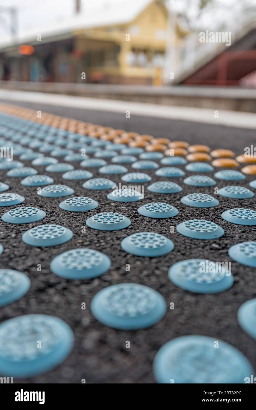 Blistered bumps, raised dots or truncated domes act as detectable