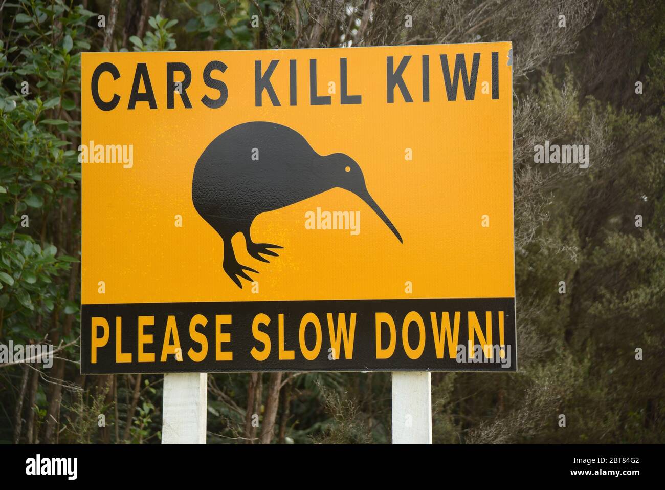 A road sign warns drivers to beware of Kiwi as they drive into Okarito in New Zealand's South Island Stock Photo