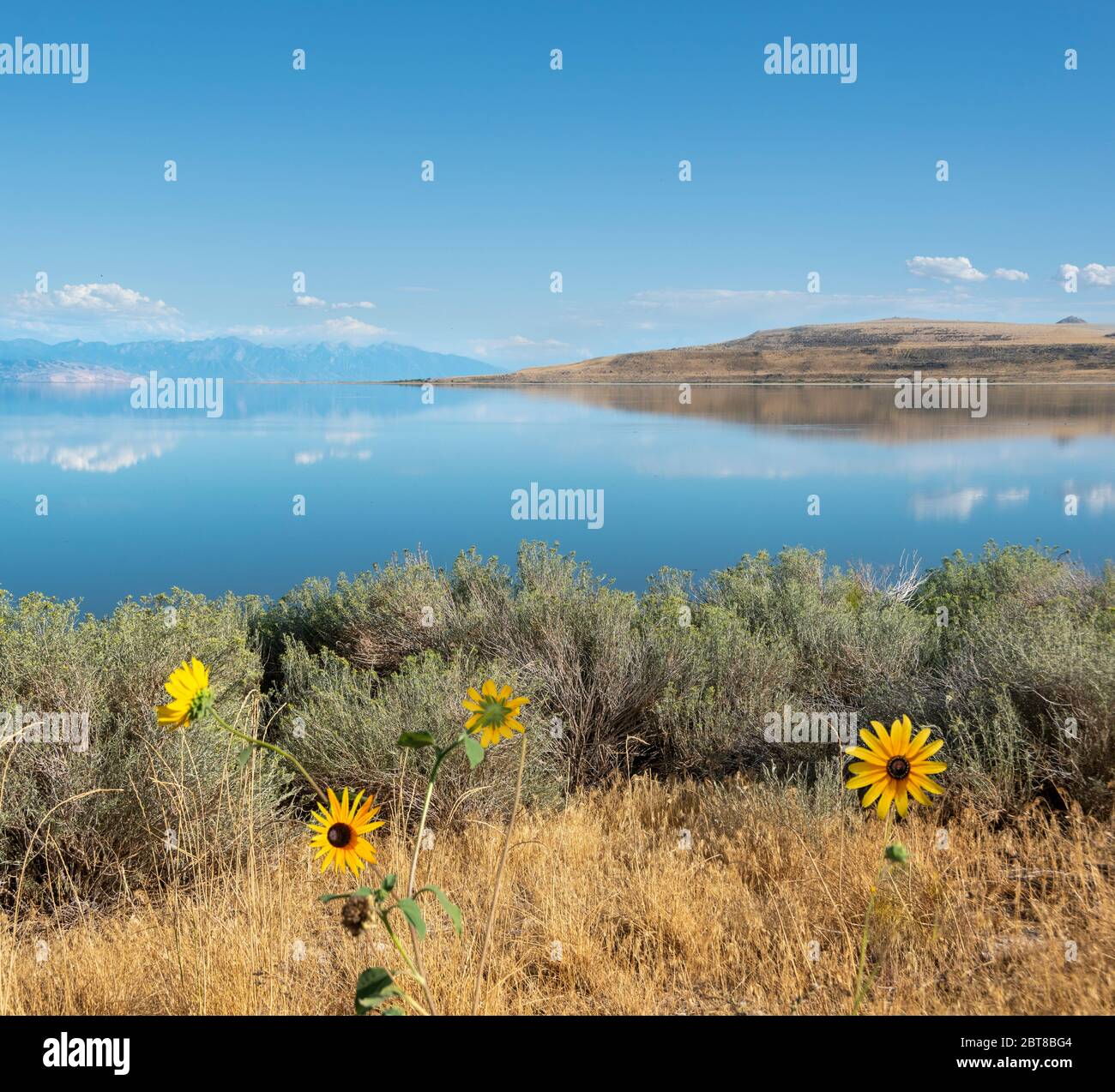 The natural scenic beauty of Antelope Island State Park, Great Salt ...