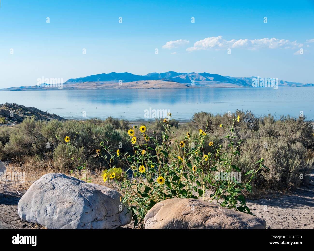 The natural scenic beauty of Antelope Island State Park, Great Salt ...