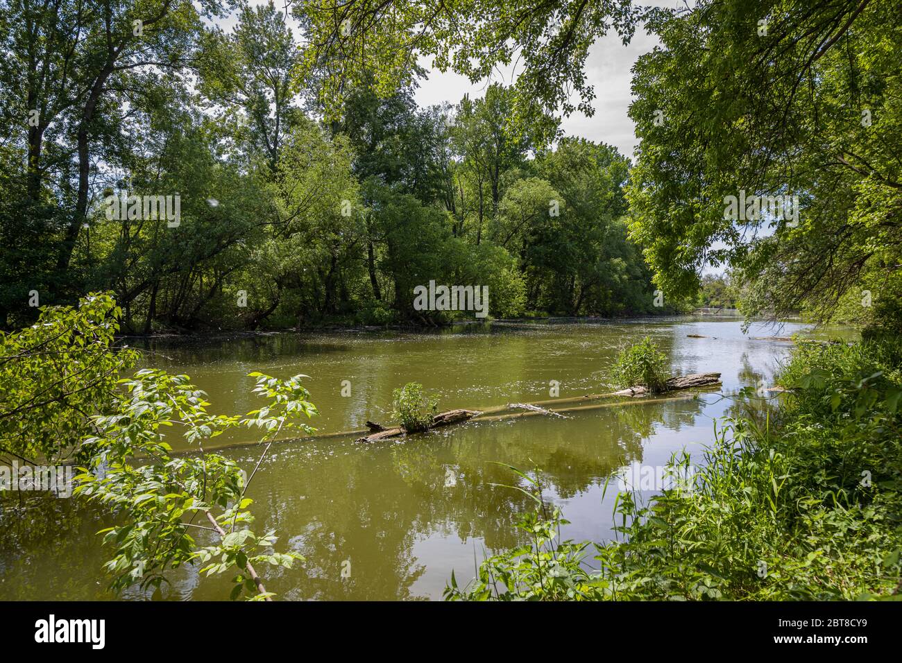 Slovakian Rivers Danube river walk bratislava hi-res stock photography and images - Alamy