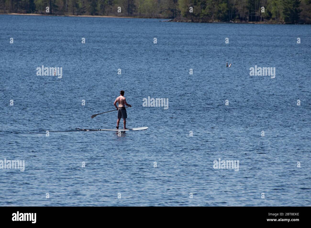 A man paddling a paddle board on Lake Pleasant in the Adirondack Mountains, NY USA Stock Photo