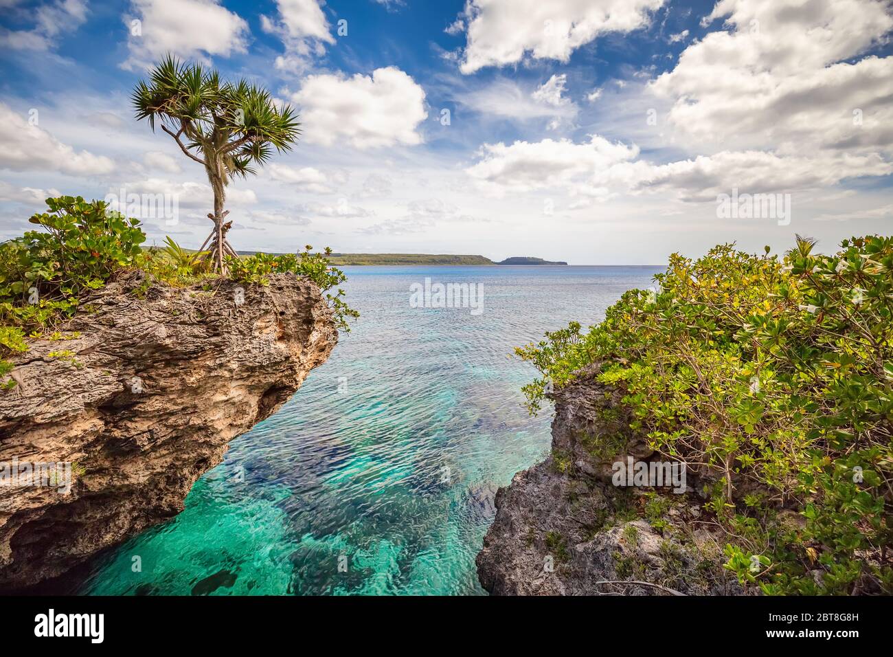 Scenic landscape with a single tree on top of a curved cliff with beautiful turquoise waters, blue sky and clouds on the Island of Mare, New Caledonia Stock Photo