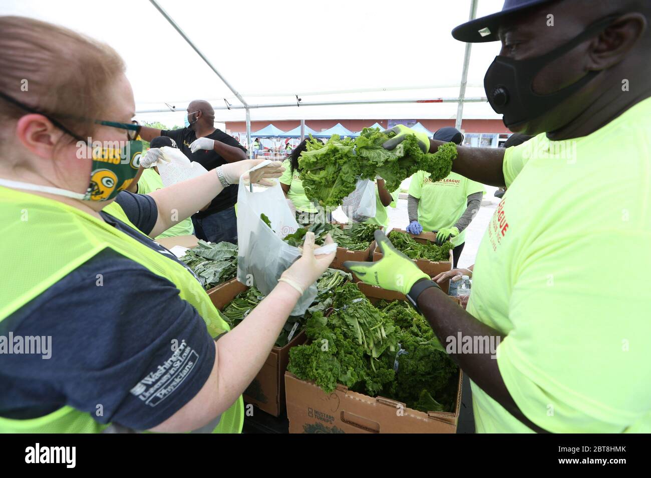 St. Louis, United States. 23rd May, 2020. Volunteers bag up greens at the St. Louis Urban League's food give-a-way in St. Louis on Saturday, May 23, 2020. The 3300 cars that will get food will receive enough food to feed a family of four for several days. This event is the eighth food give-a-way put on by the Urban League. Many are in need of the food due to the coronavirus. Photo by Bill Greenblatt/UPI Credit: UPI/Alamy Live News Stock Photo