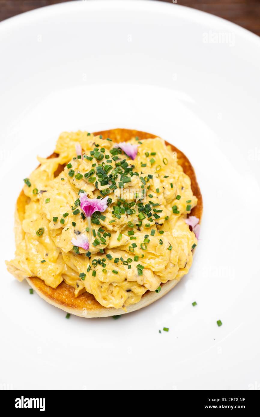 Scramble Egg with Truffle mushroom oil, international gourmet cuisine