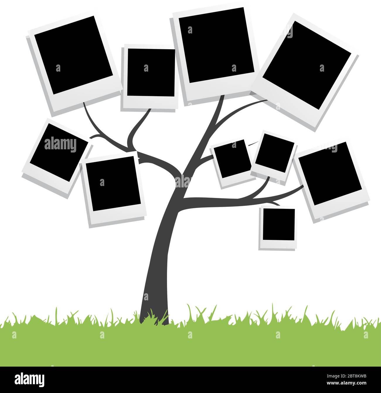 Family Tree Genealogy Vector High Resolution Stock Photography and