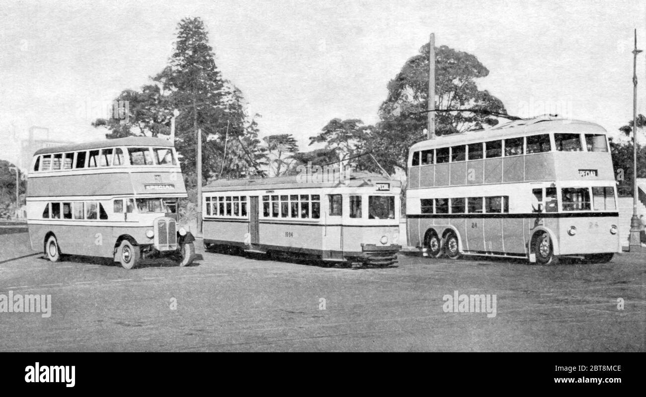 A line up of pre second world war Sydney buses and a tram in Australia Stock Photo
