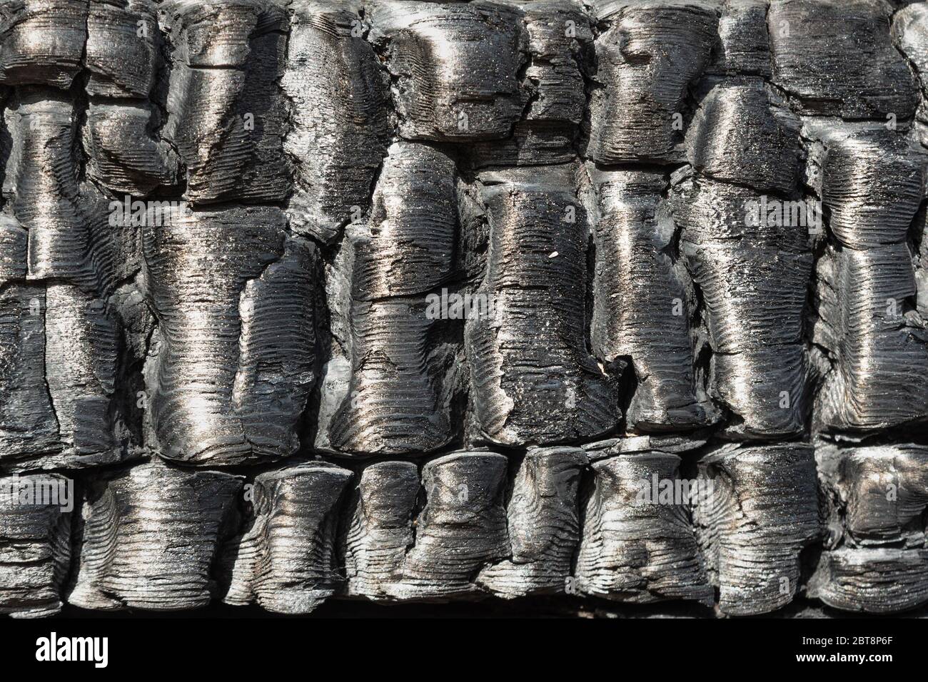 Burnt wooden wall background Stock Photo