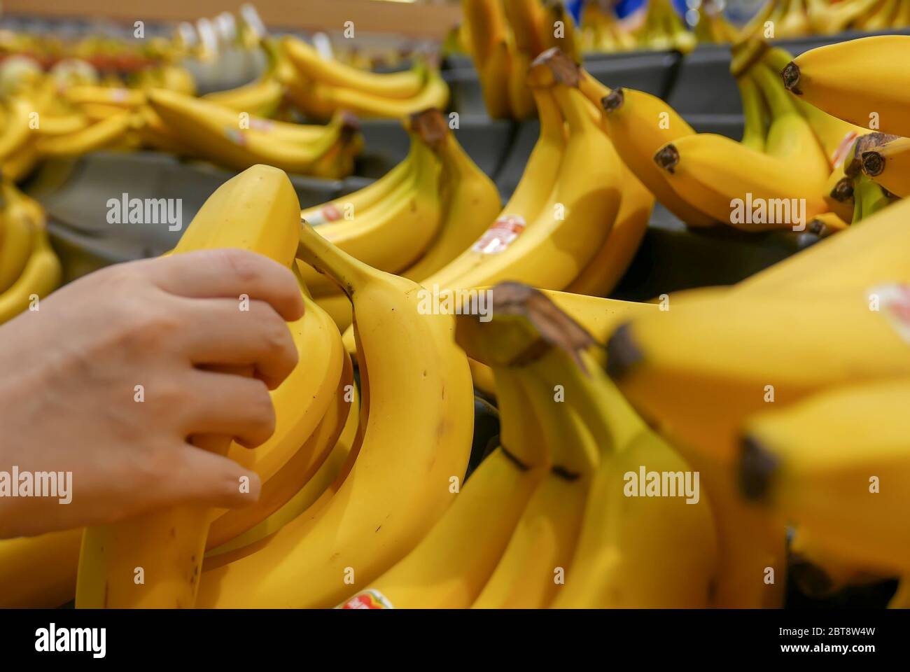 Motion of woman's hand picking bananas inside superstore Stock Photo