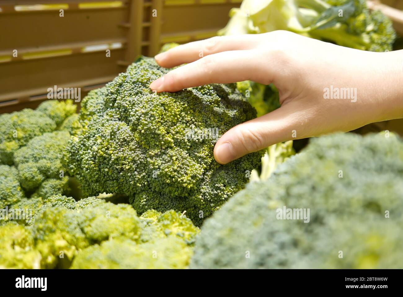 Motion of woman's hand picking broccoli inside superstore Stock Photo
