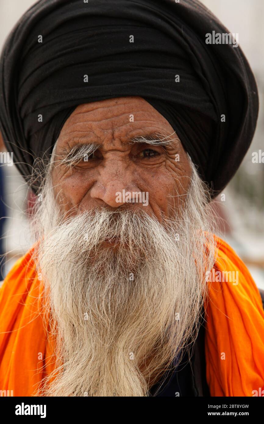 Portrait of a Sikh man, Portrait of Indian Sikh man in turban with bushy, New Delhi, India. Asia (Photo Copyright © Saji Maramon) Stock Photo