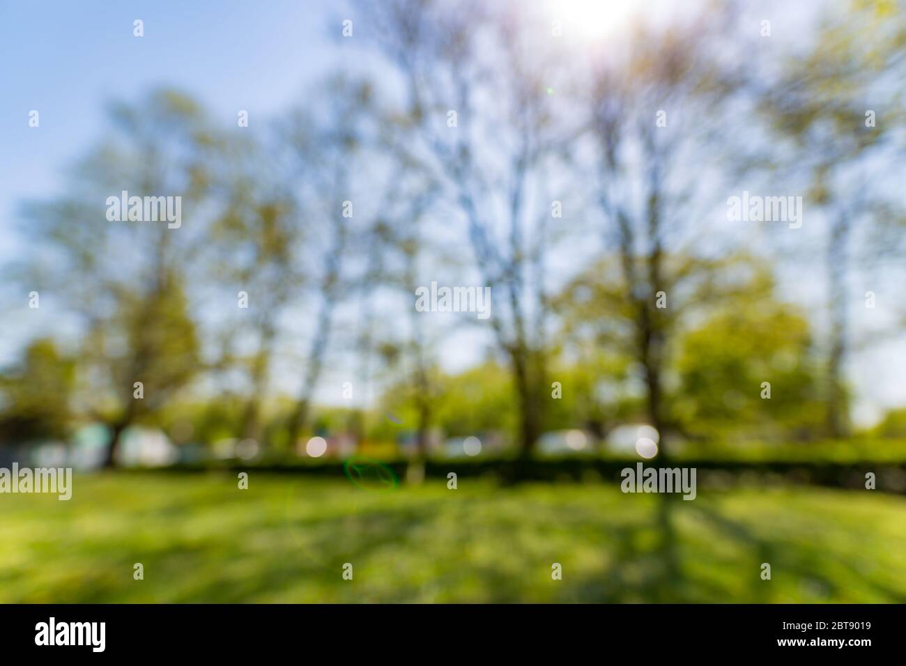 Blur park with sun light abstract background. Stock Photo