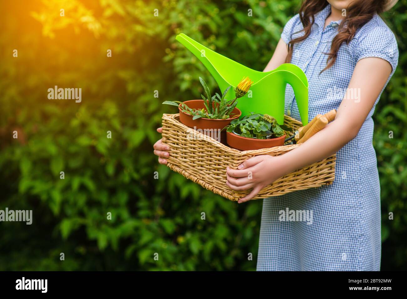 smiling cute girl gardener holding basket and horticultural tools in garden on sunny day. Summer activities Stock Photo