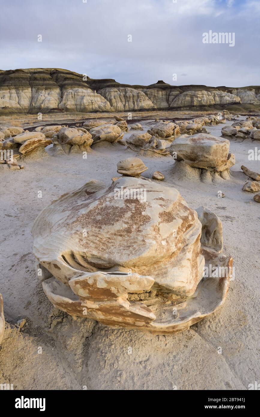 Bisti or De-Na-Zin Wilderness Area or badlands showing unique rock formations formed by erosion, New Mexico, USA Stock Photo