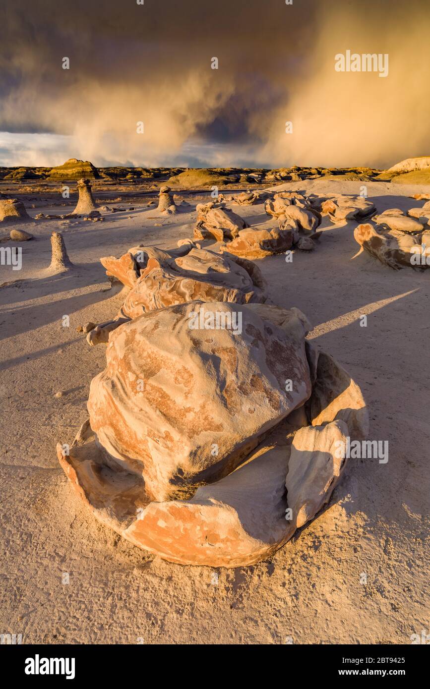 Bisti or De-Na-Zin Wilderness Area or badlands showing unique rock formations formed by erosion, New Mexico, USA Stock Photo