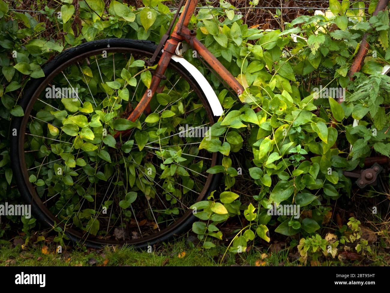Old Bicyle,  Highlands, Scotland Stock Photo