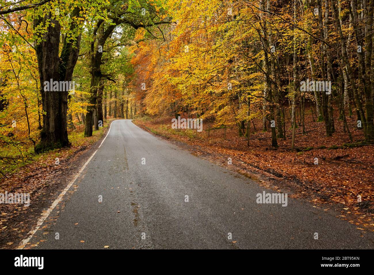 Highland road in Autumn,  Highlands, Scotland Stock Photo