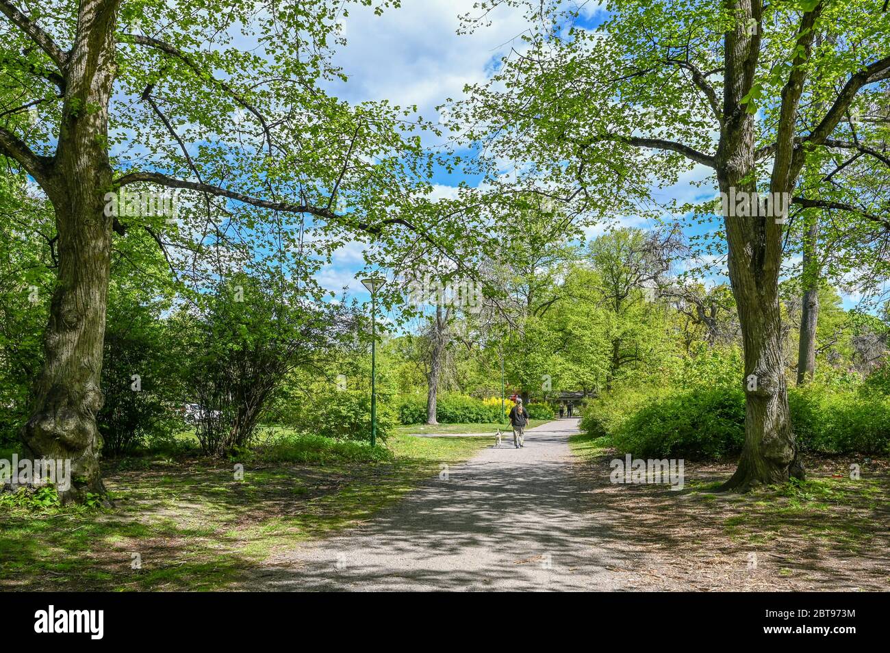 Unrecognizable person walks a dog in city park Folkparken during on a sunny day in May. Norrkoping is a historic industrial town in Sweden. Stock Photo