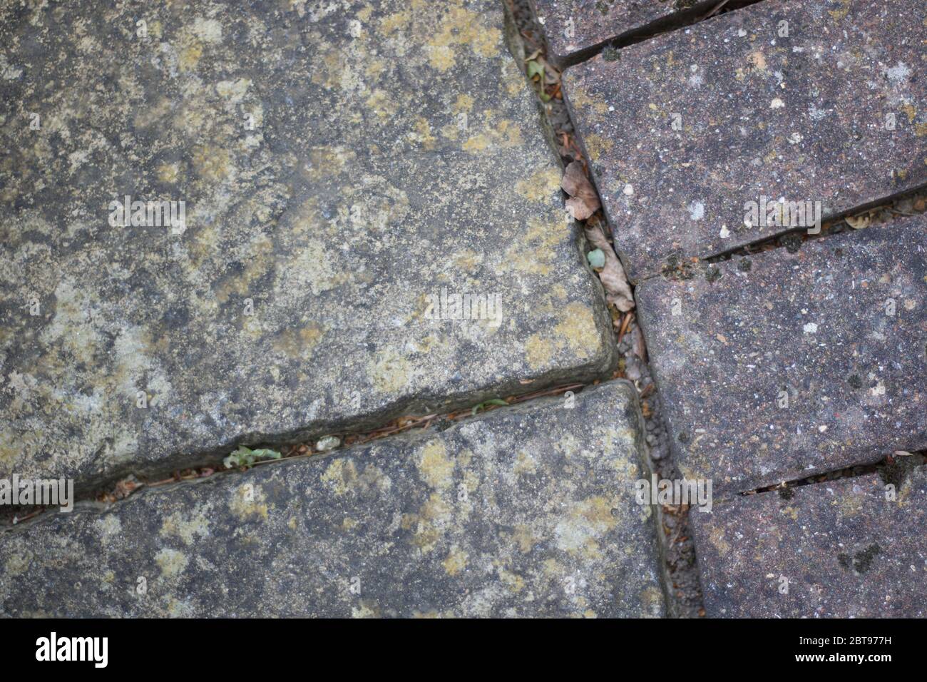 Weathered garden paving slabs with debris in gaps and copy space Stock