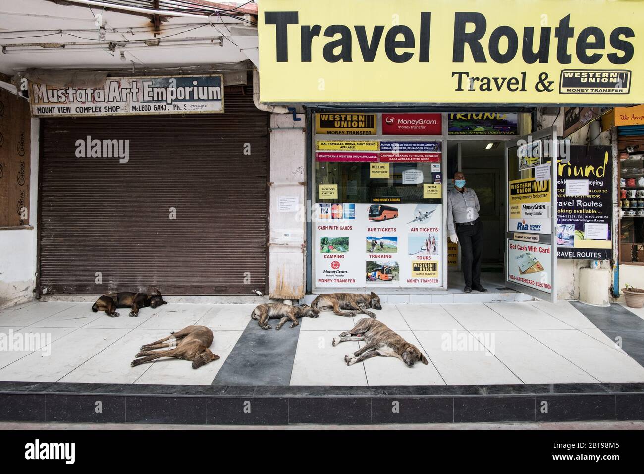 Travel agent awaits customers during the coronavirus COVID 19 pandemic. Travel in India has come to a complete halt. Dharamshala, India. Stock Photo