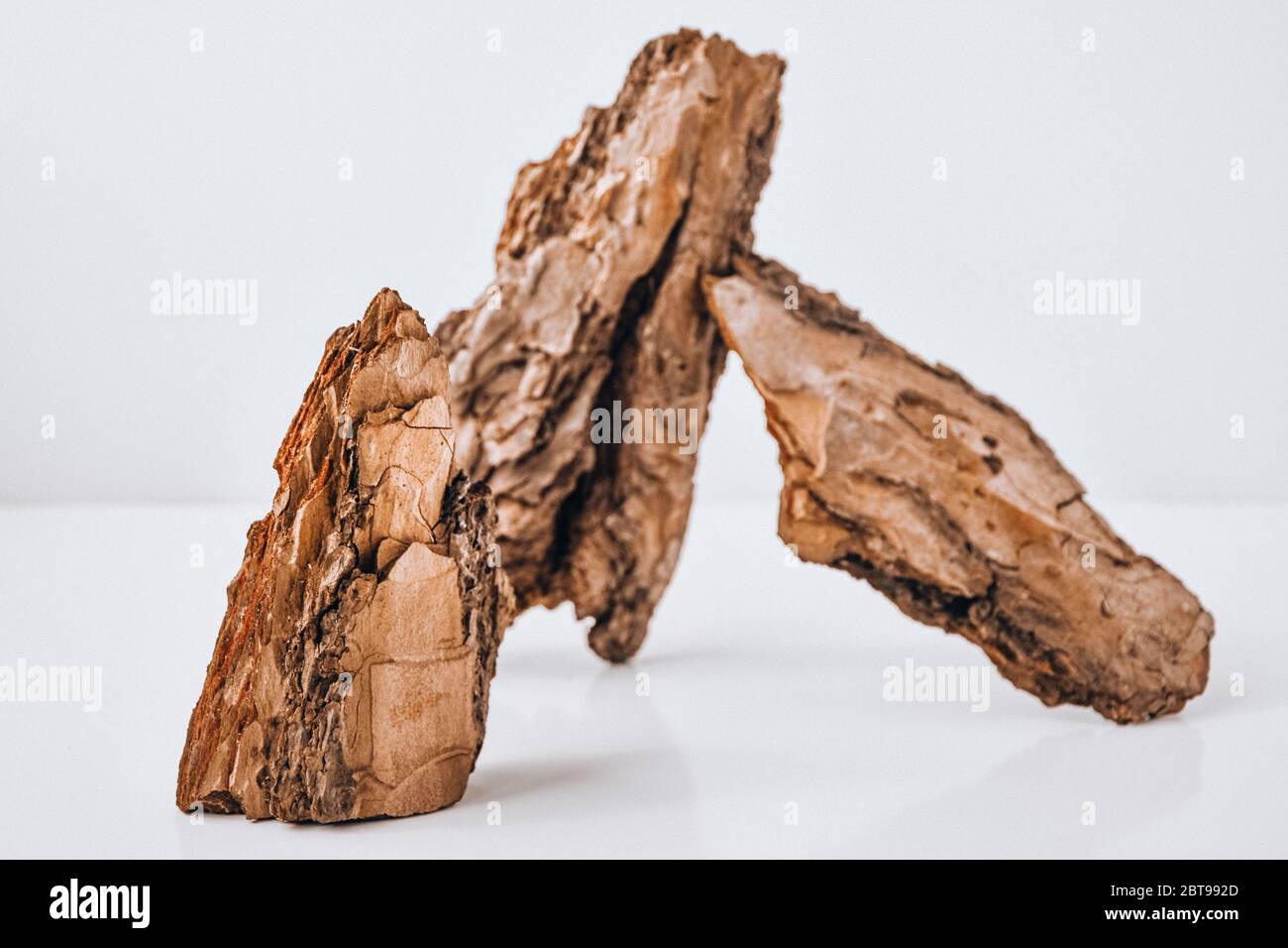 Tree Bark or Garden Mulch Isolated on White Background Stock Photo Alamy
