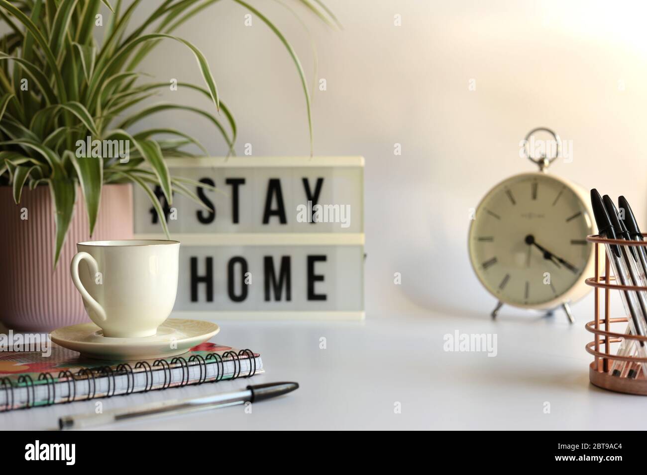 Home office desc concept during self quarantine as preventive measure against virus. Stay safe concept. Cup of coffee, clock, stationary, home plant on white background Stock Photo