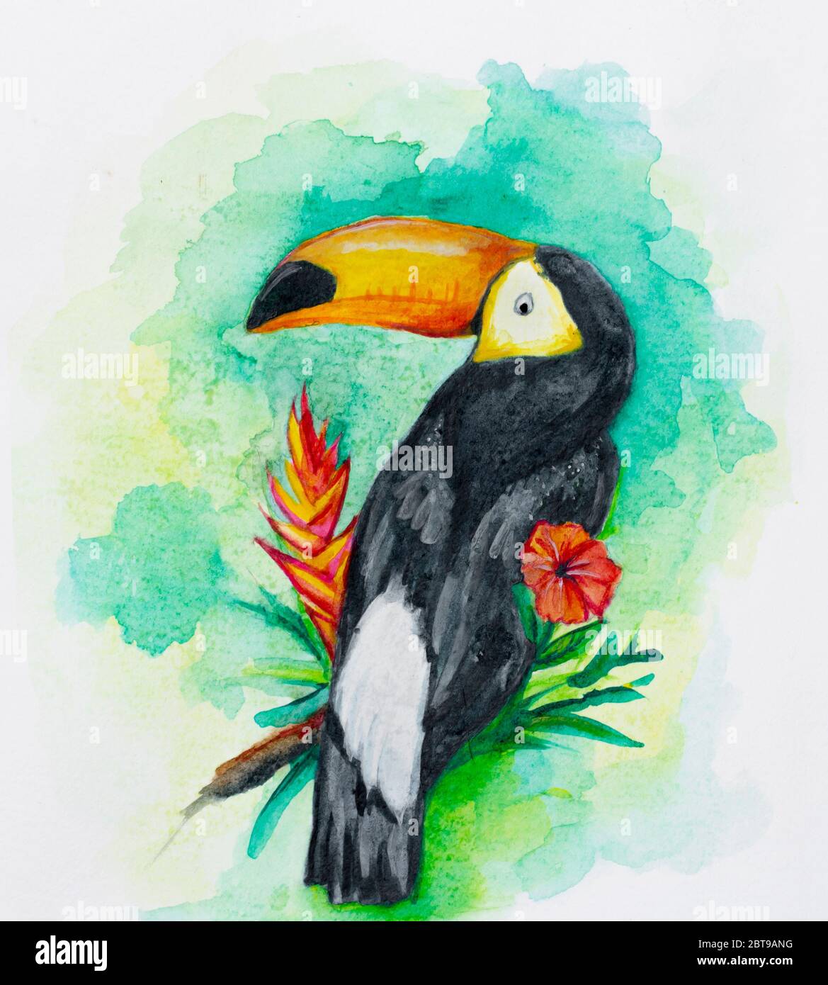 watercolor toucan ilustration with tropical flowers Stock Photo