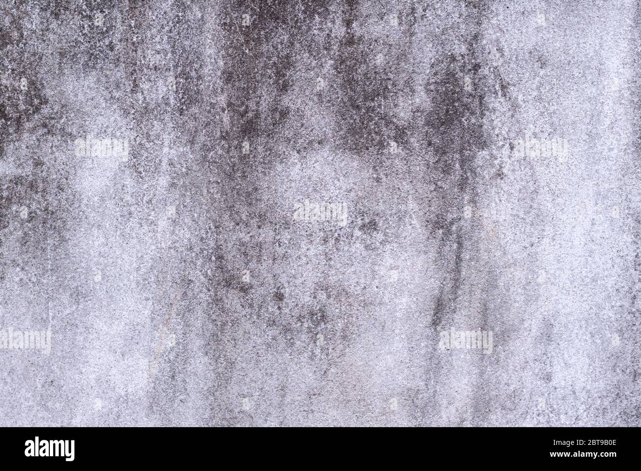 Old grunge white concrete texture background. Stock Photo