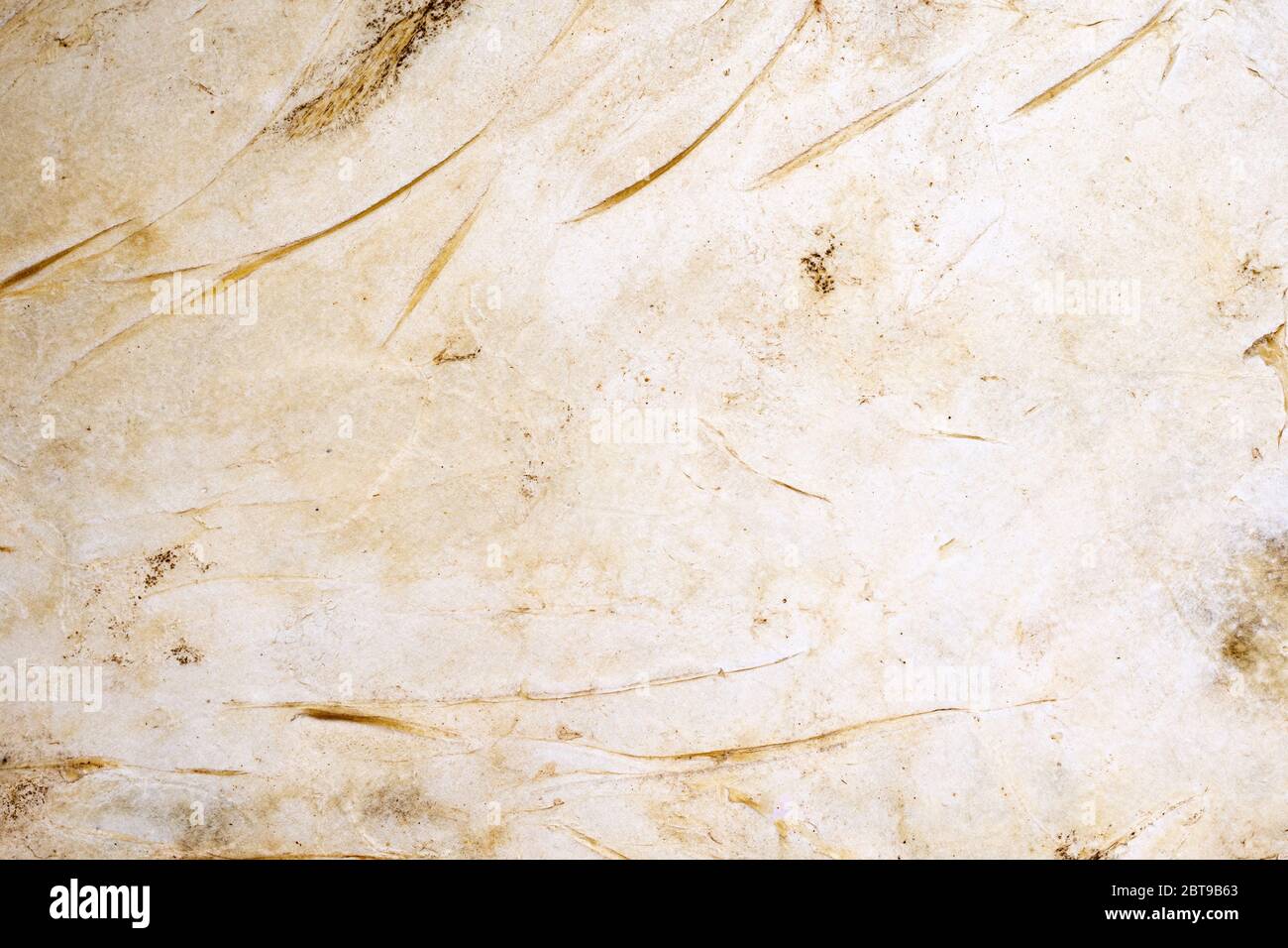 Old white leather background. Scratch line on white leather texture as background. Stock Photo