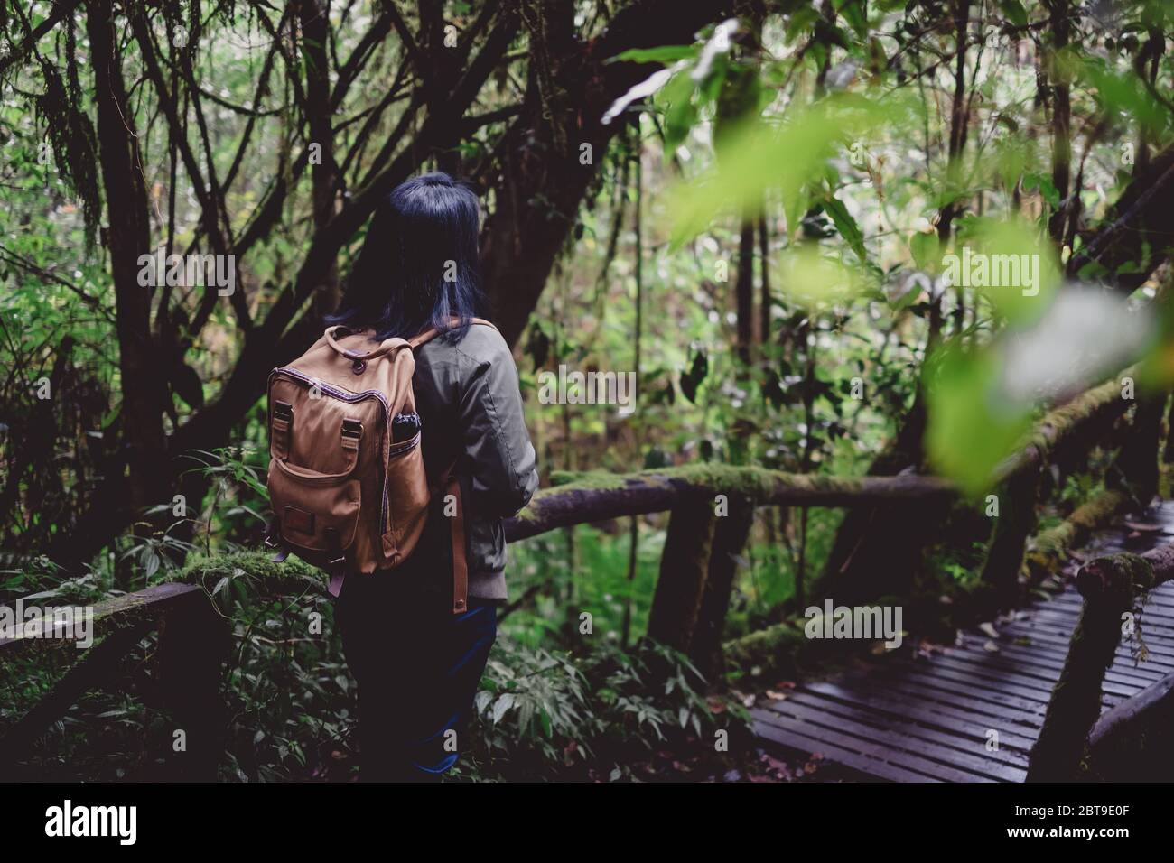 Asian looking up forest hi-res stock photography and images - Alamy
