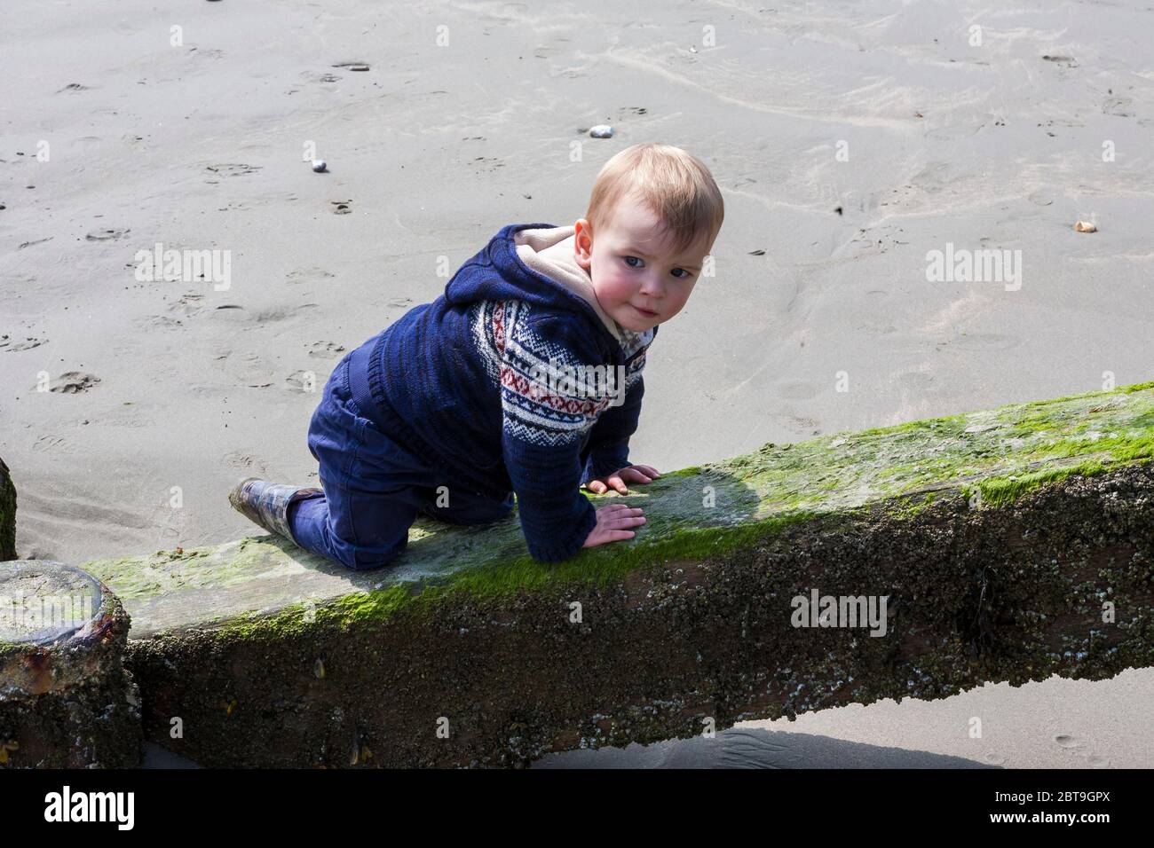 Adorable one year old little boy excited to be playing on the beach: West Wittering, West Sussex, England, UK.  MODEL RELEASED Stock Photo