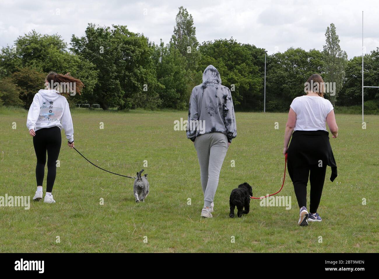 dog walking clubs near me