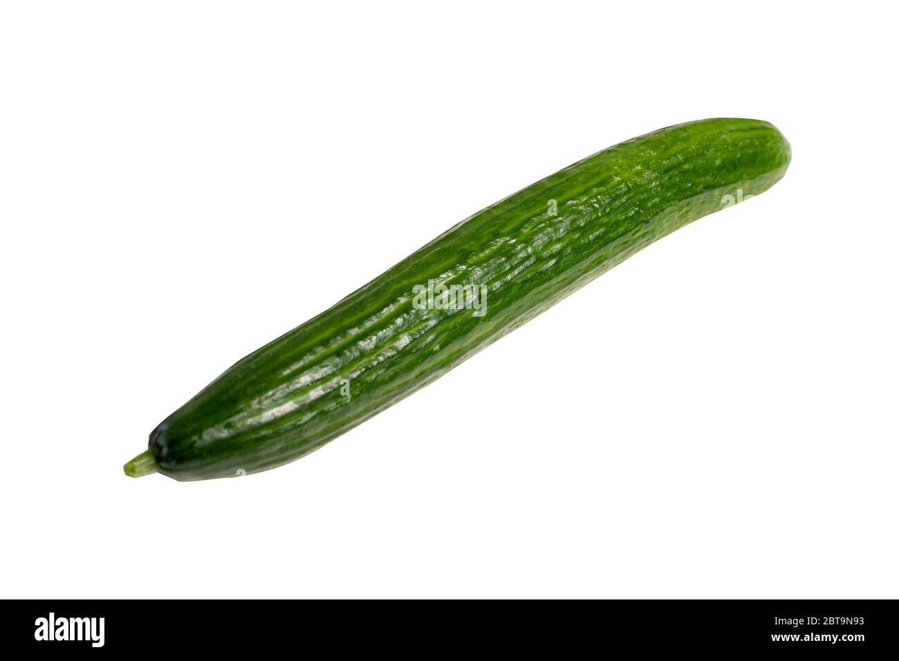 long cucumber. isolate on white background. bright green vegetable Stock Photo