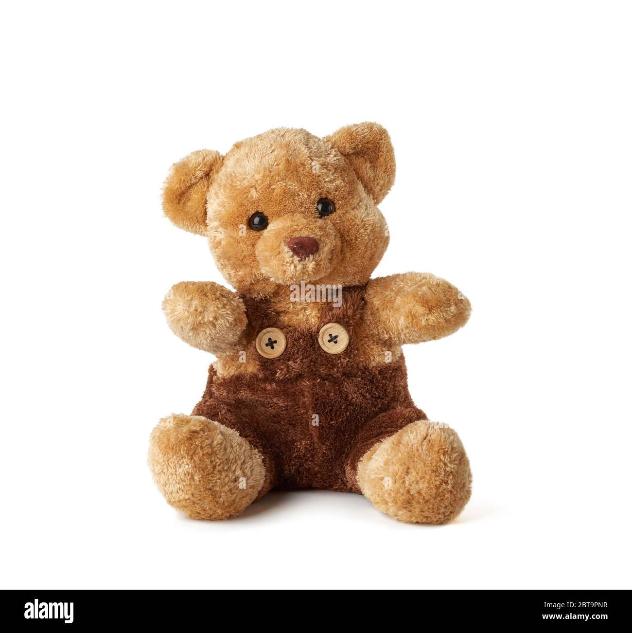 brown teddy bear sitting on a white background, toy is isolated Stock ...