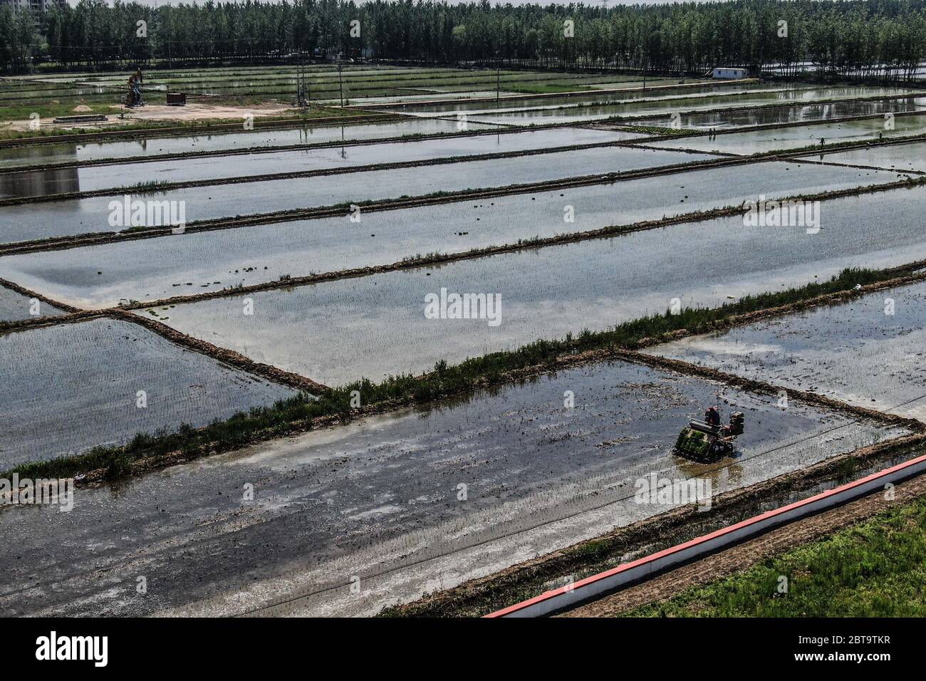 Panjin, China's Liaoning Province. 24th May, 2020. A transplanter works to plant rice seedlings in Dawa District in Panjin City, northeast China's Liaoning Province, May 24, 2020. Rice transplanting of over 1.59 million mu (about 106,000 hectares) paddy fields in Panjin, the main rice producing area in Liaoning, has started recently. Credit: Pan Yulong/Xinhua/Alamy Live News Stock Photo