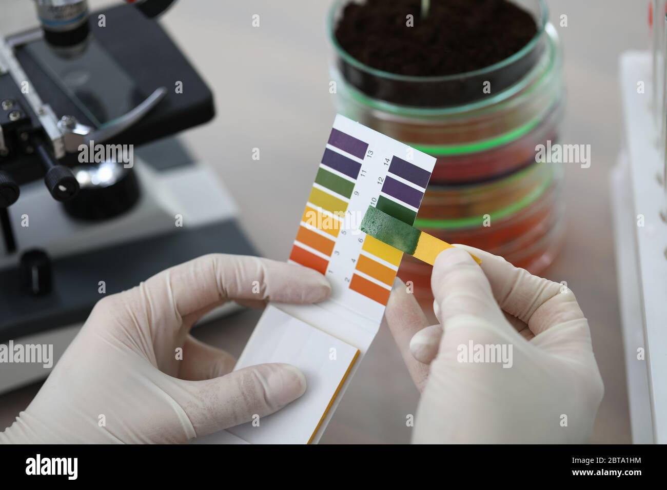 Hands holding litmus test paper for soil analysis Stock Photo Alamy