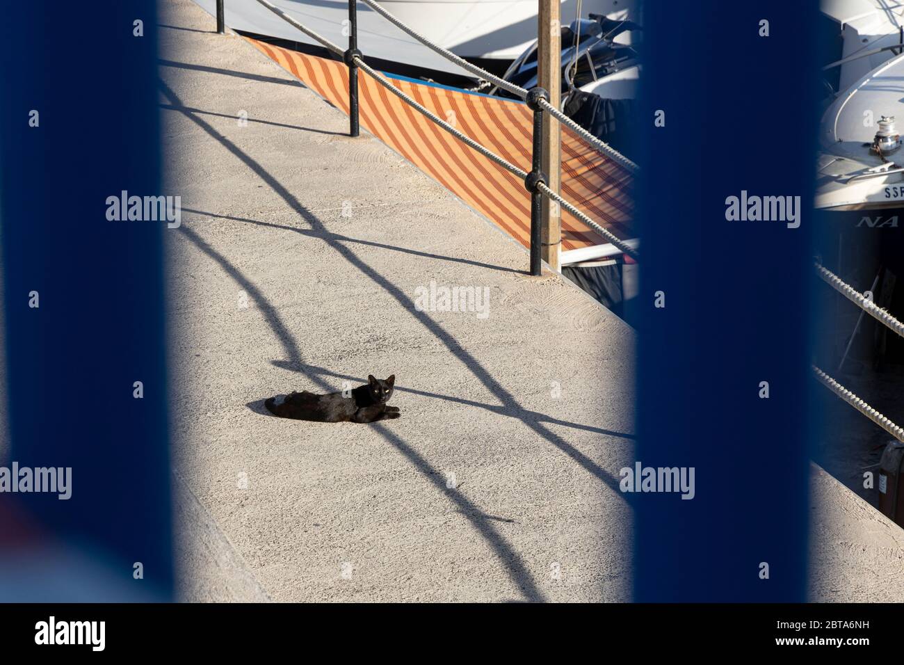 Black cat lying in the sun on concrete at Puerto Colon during phase one of de-escalation of the Covid 19, coronavirus, State of Emergency, Costa Adeje Stock Photo