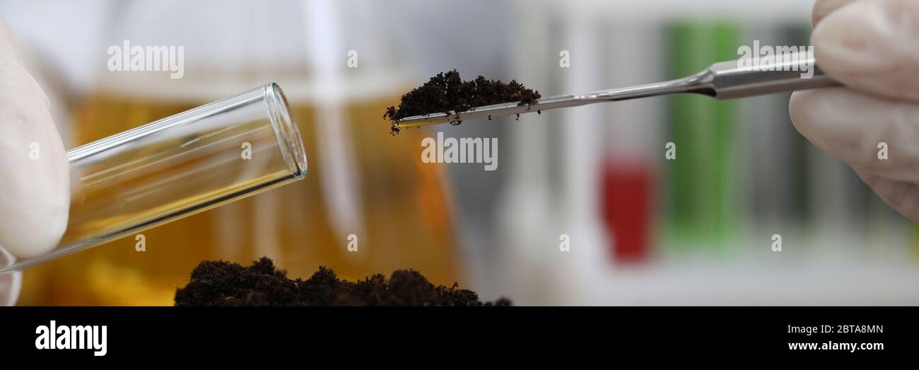 soil sampling for chemical analysis and ph test Stock Photo Alamy