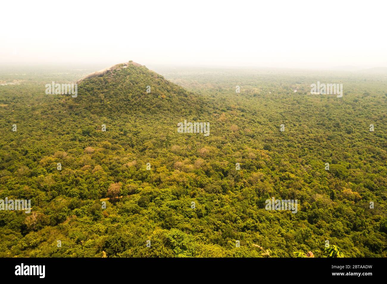 Astonishing view over the jungle from the top of Sigiriya Fortress in Sri Lanka in summer. Royalty free stock photo. Stock Photo