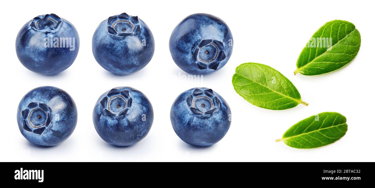 Set of fresh blueberries and blueberry leaves isolated on white background. Stock Photo
