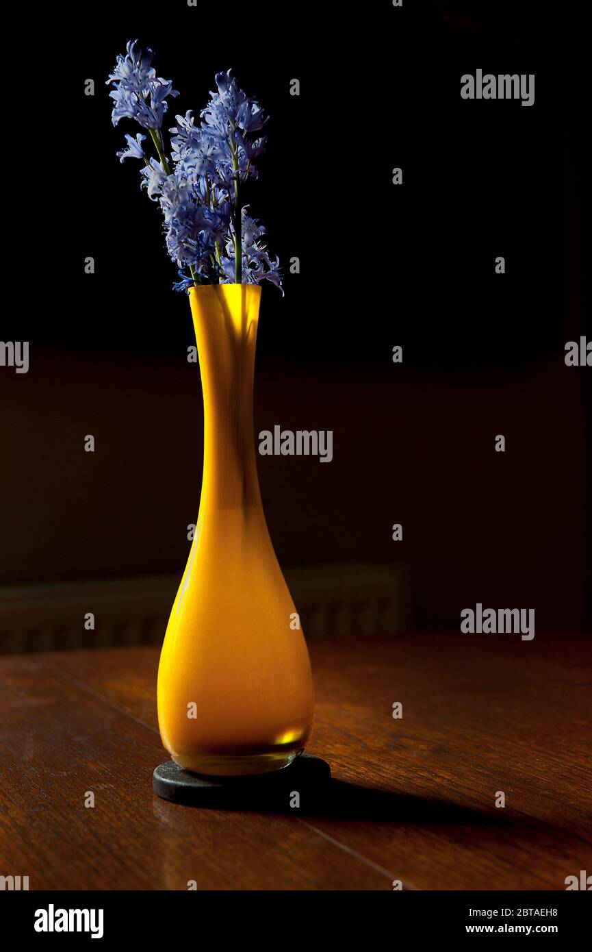 Shadow on flowers in vase hi-res stock photography and images - Alamy