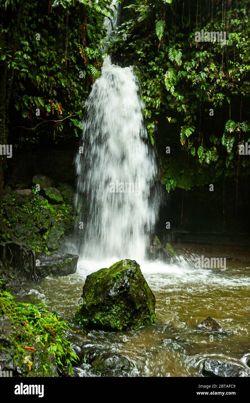 A torrent of foaming clear mountain water cascades down a cliff face into the mysterious emerald pool surrounded by dense green verdant rainforest Stock Photo