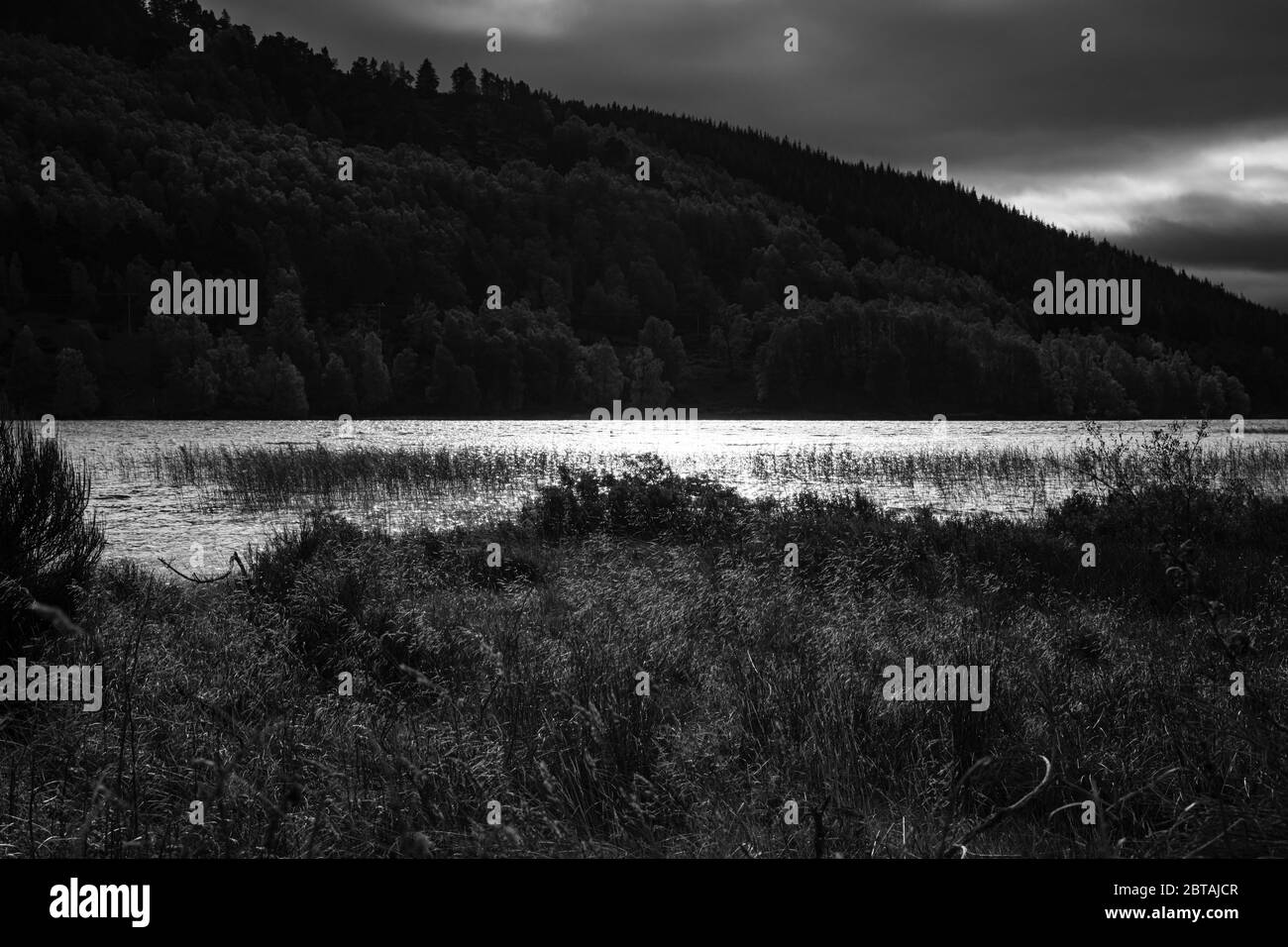 An autumnal black and white image of Loch Pityoulish in the Cairngorm National Park, northern Scotland. 20 October 2018. Stock Photo