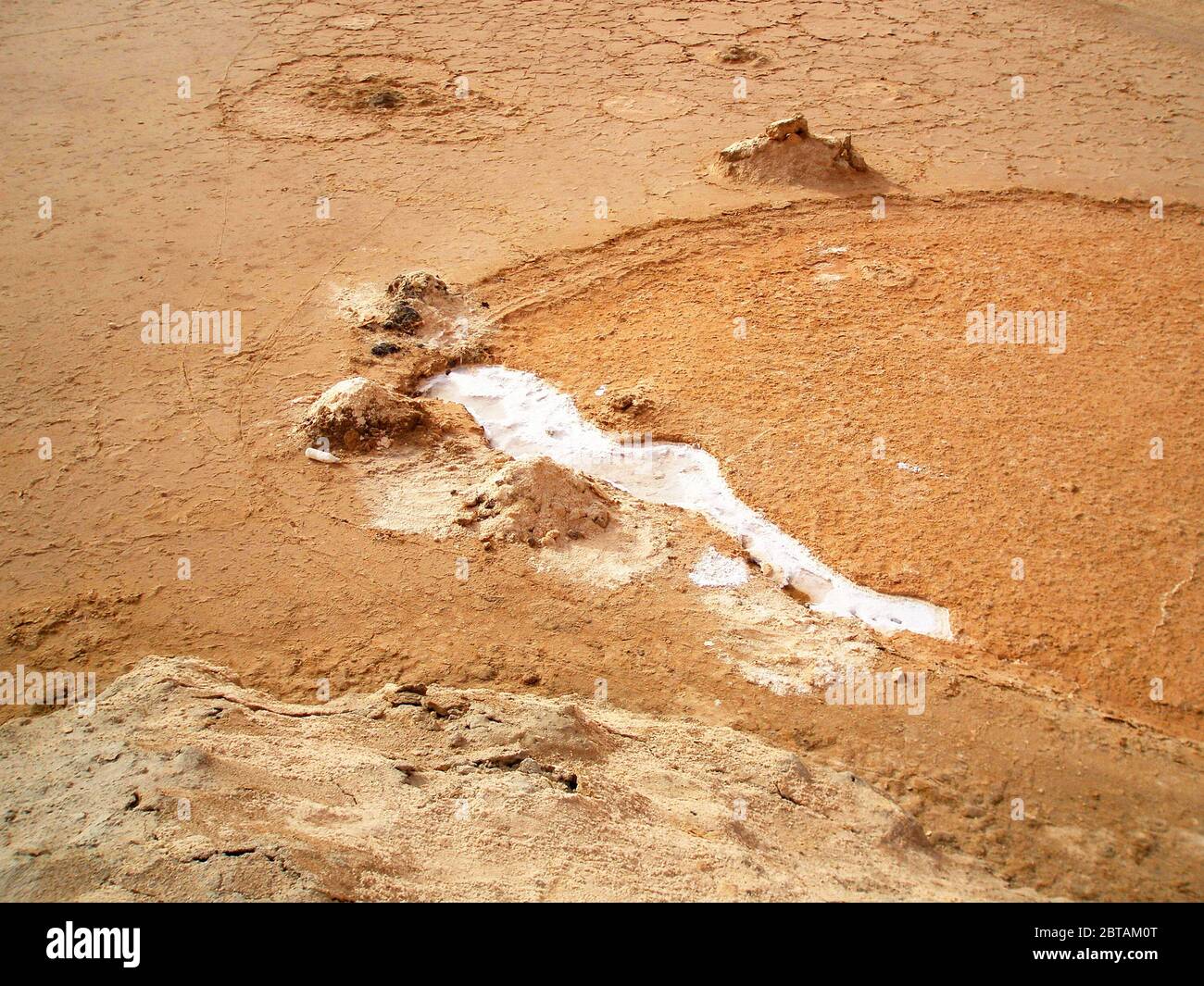 Colorati rose del deserto in Tunisia,colorati rose del deserto in  Tunisia,colorati rose del deserto in Tunisia,colorati rose del deserto in  Tunisia Foto stock - Alamy