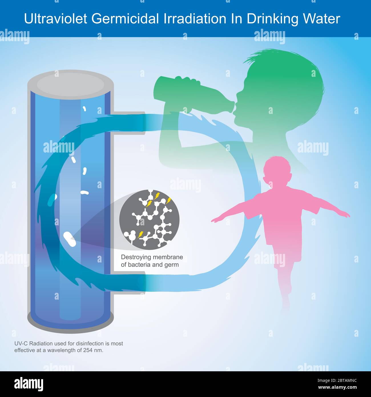 Ultraviolet Germicidal Irradiation In Drinking Water. Illustration explain Ultraviolet Light (UV-C) light this is can kill membrane of bacteria Stock Vector