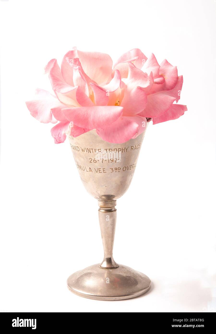 Pink rose flower in an old motor racing trophy Stock Photo